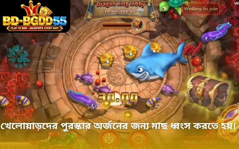 খেলোয়াড়দের পুরস্কার অর্জনের জন্য মাছ ধ্বংস করতে হয়।