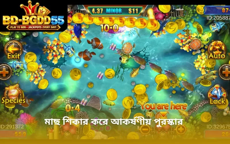 মাছ শিকার করে আকর্ষণীয় পুরস্কার